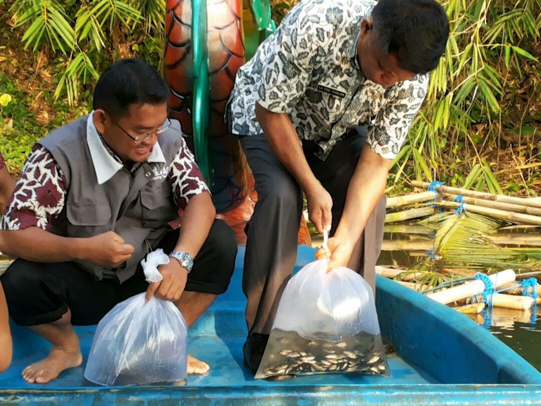 Ratusan Ribu Benih Ikan Nilai Dilepas di Kedungdowo