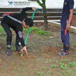 Masih Ada Genangan di Alun-alun Kebumen, Dinas Perkim LH Tambah Jumlah Biopori