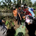 Sehari, Ada Dua Mayat Ditemukan di Kebumen