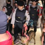 Libatkan Anjing Pelacak, Tim Gabungan Geledah Kafe Karaoke di Sruweng