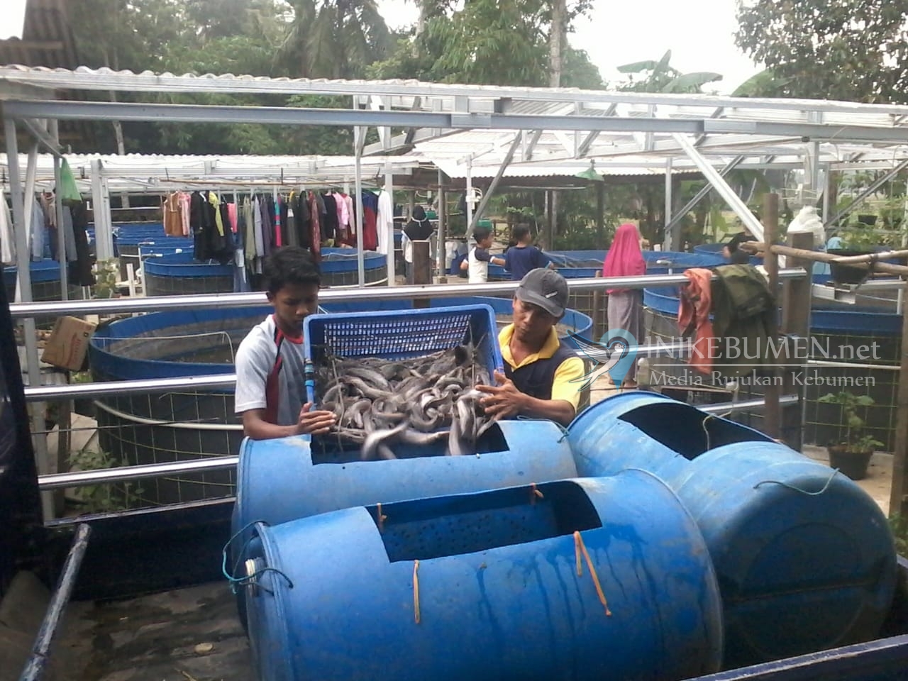 Usai Terima Bantuan Bioflok Masuk Pesantren, Ponpes Al Hikmah Ingin Kembangkan Nutrisi Lele