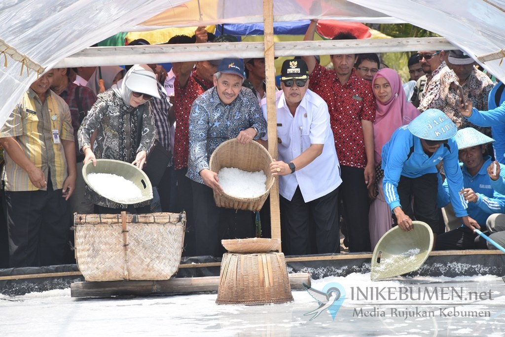 Catat! Bantu Pemasaran, ASN Bakal Diwajibkan Beli Garam Kebumen