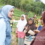 Kunjungi Kebumen, Senator Denty Pilih ke TPA Kaligending