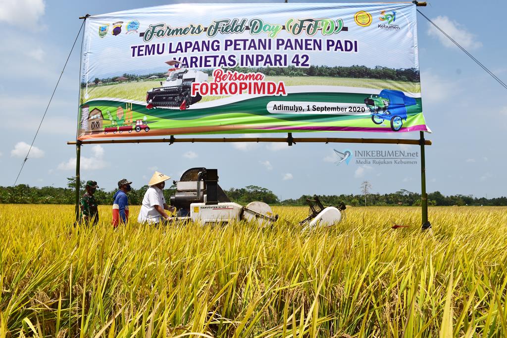 Ditengah Pandemi Covid-19, Kebumen Surplus 123.529,4 Ton Beras