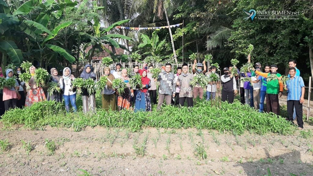 Alhamdulillah, Ponpes Al Hikmah Adimulyo Bisa Panen Sayur Organik