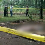 Innalillahi, Warga Brecong Meninggal Tertimpa Pohon Pundung