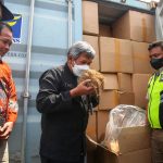 Wih Keren, Daun Talas Asal Jateng Rambah Pasar Australia