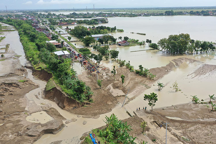 Ribuan Hektare Sawah di Grobogan Terendam Banjir,  Pemprov Jateng Dampingi Klaim Asuransi Gagal Panen